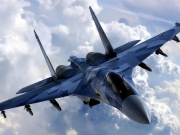 В сети появилось первое видео с места крушения Су-27