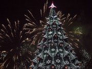 Главная елка страны зажглась новогодними огнями