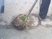 В Мукачево ямы на дороге засыпают землей с обочины
