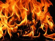 Во время пожара в Донецкой области заживо сгорели дети