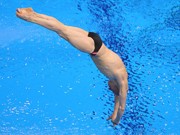 На «Гран-при по прыжкам в воду» украинцы получили 4 награды