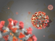 В Нидерландах зафиксировали первую в мире смерть после повторного заражения COVID-19