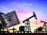 Цены на нефть поднялись после обвала днем ранее