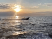 CNN опубликовала кадры ударов украинских морских дронов по Крымскому мосту