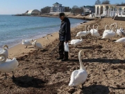 Курортный сезон в Крыму вряд ли состоится — Аксенов