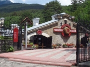 В оккупированном Крыму выставили на аукцион винный завод «Массандра»