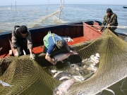 Украина подписала протокол с РФ о рыболовле в Азовском море