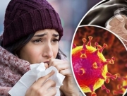 В Украине за сутки выявили 13 357 новых случаев инфицирования коронавирусом