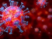 Исследование: Коронавирус поражает многие органы