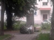 На Львовщине вандалы разрушили памятник Пушкину