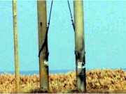 Появились фотографии с места подрыва электроопор на Чонгаре