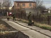 В Донецкой области жестоко убили семью