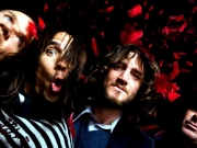 Red Hot Chili Peppers выступят в Киеве в июле 2016 года