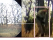 На оккупированном Донбассе заметили боевика в форме ВСУ