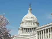 Захват самолета режимом Лукашенко: США требуют немедленно освободить Протасевича