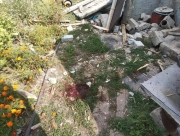 В Донецкой области из-за обстрела боевиков погиб местный житель