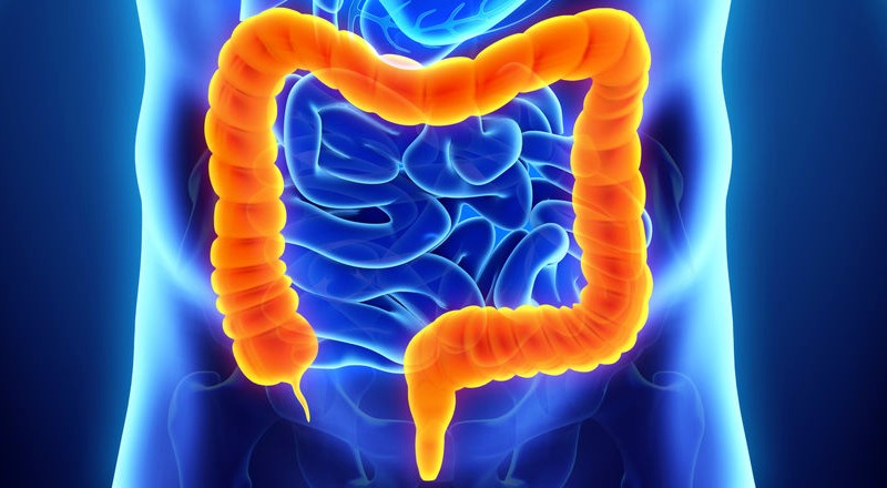 Проктология и проктологическая хирургия: когда деликатная медицина возвращает качество жизни
