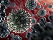 Что важно знать о коронавирусе?