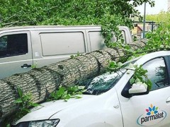 В Москве бушует ураган: 7 погибших, около 70 пострадавших