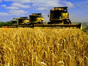 Сельское хозяйство Украины: Впечатляющие факты!