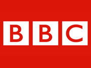 Кошка спасла мальчика от нападения собаки