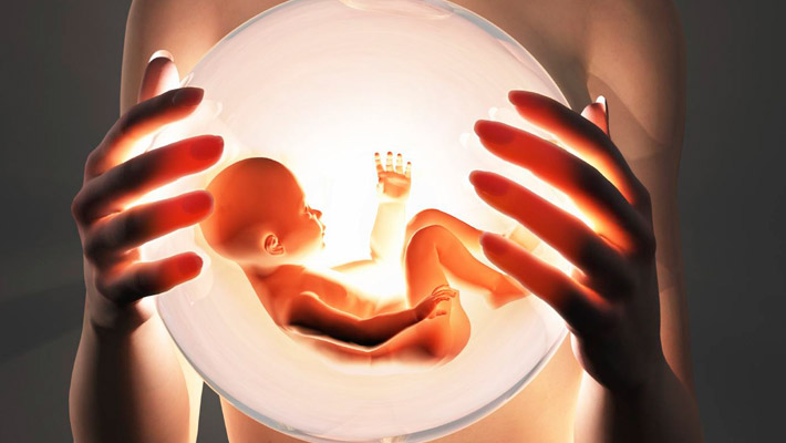 Донорство ооцитов (яйцеклеток) – шанс на долгожданное материнство