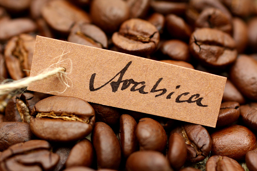 Кофе арабика – изысканное совершенство