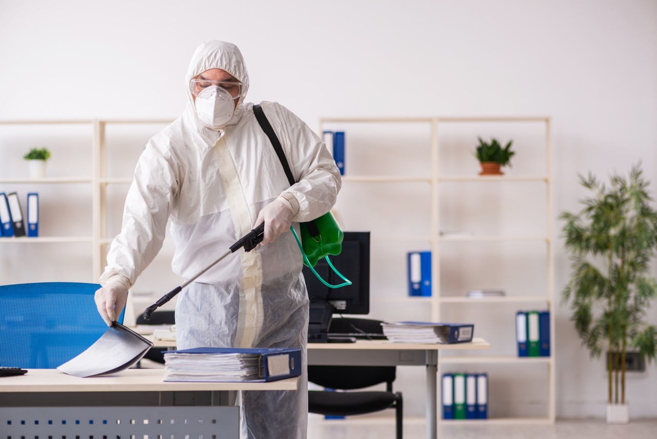 Ефективна боротьба зі шкідниками: повний гід для дому