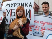 СМИ: В Симферополе на митинг в защиту животных вышли кошки