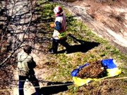 Скандал в Чернигове: коммунальщики собирали мусор на флаг Украины