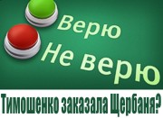 Опрос КМИС: Абсолютное большинство украинцев не верят, что Тимошенко заказала Щербаня