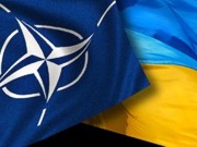 Украина попросила НАТО о расширении партнерства по формуле Швеции и Финляндии