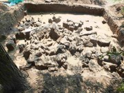 На Хортице нашли уникальную находку, которой более 5 тысяч лет