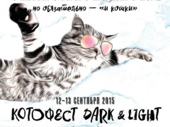 На крыше одесской гостиницы устроят «КОТОфест»