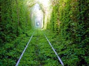 Украинскую короткометражку «Тоннель» покажут на Каннском кинофестивале