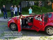 В результате падения дерева в Киеве погибла 5-летняя девочка