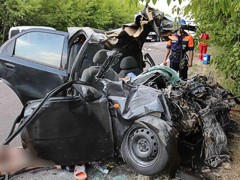 В Винницкой области два человека погибли в ДТП из-за кота