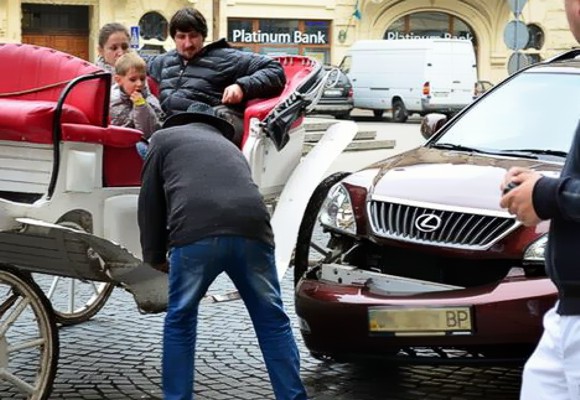 Курьезное ДТП во Львове: Повозка с лошадьми помяла Lexus с номерами Верховной Рады