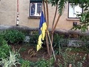 На Закарпатье надругались над флагом Украины