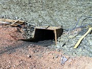 В Донецкой области в копанке 6 шахтеров смыло подземными водами