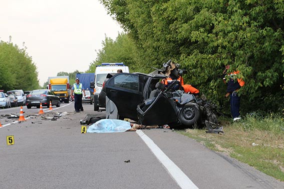 В Винницкой области два человека погибли в ДТП из-за кота