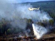 ГСЧС: Причина масштабного пожара под Чернобылем – поджог