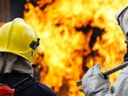 Из-за пожара в ветбольнице в Киеве погибли 5 животных