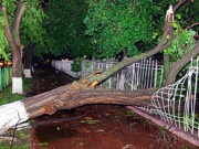 ГСЧС: В Одессе от урагана пострадало 36 человек