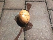 В Москве неизвестные забросали яйцами посольство Украины