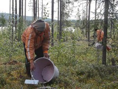 В Финляндии пропала группа украинских заробитчан, — СМИ