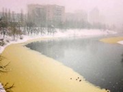 На Днепре появились странные желтые пятна