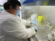 ВОЗ: Эпидемия движется на восток Украины