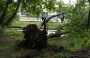 По Киеву пронесся ураган