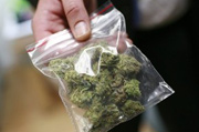Во Львове милиция изъяла около 10 кг марихуаны